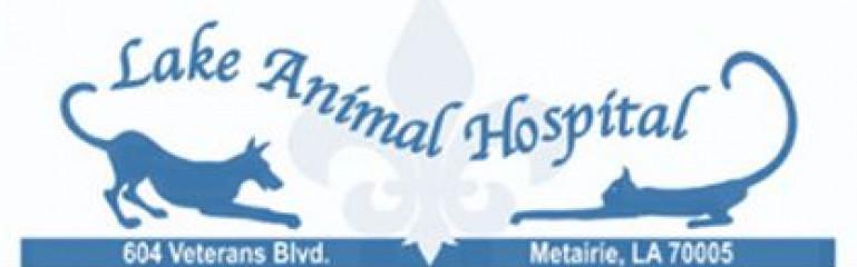 Lake Animal Hospital (1258342)